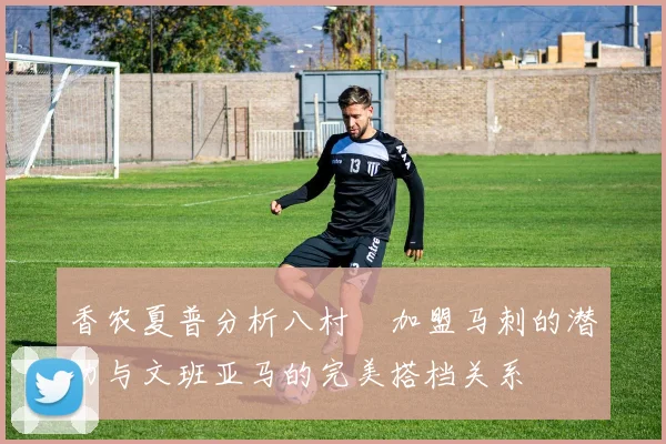 香农夏普分析八村塁加盟马刺的潜力与文班亚马的完美搭档关系