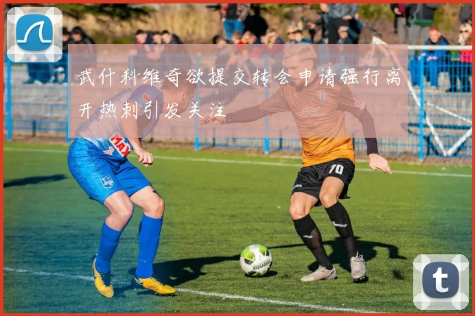 武什科维奇欲提交转会申请强行离开热刺引发关注