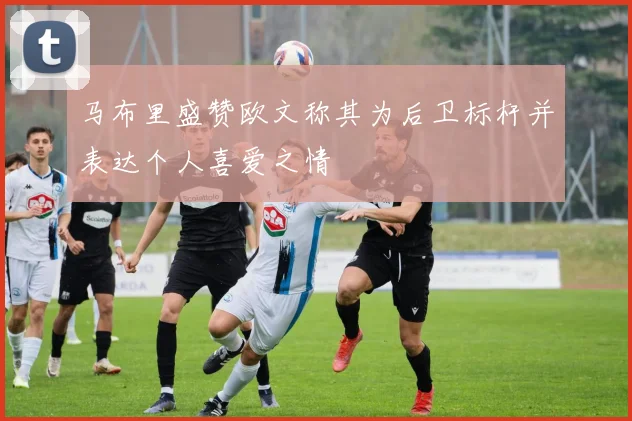 马布里盛赞欧文称其为后卫标杆并表达个人喜爱之情